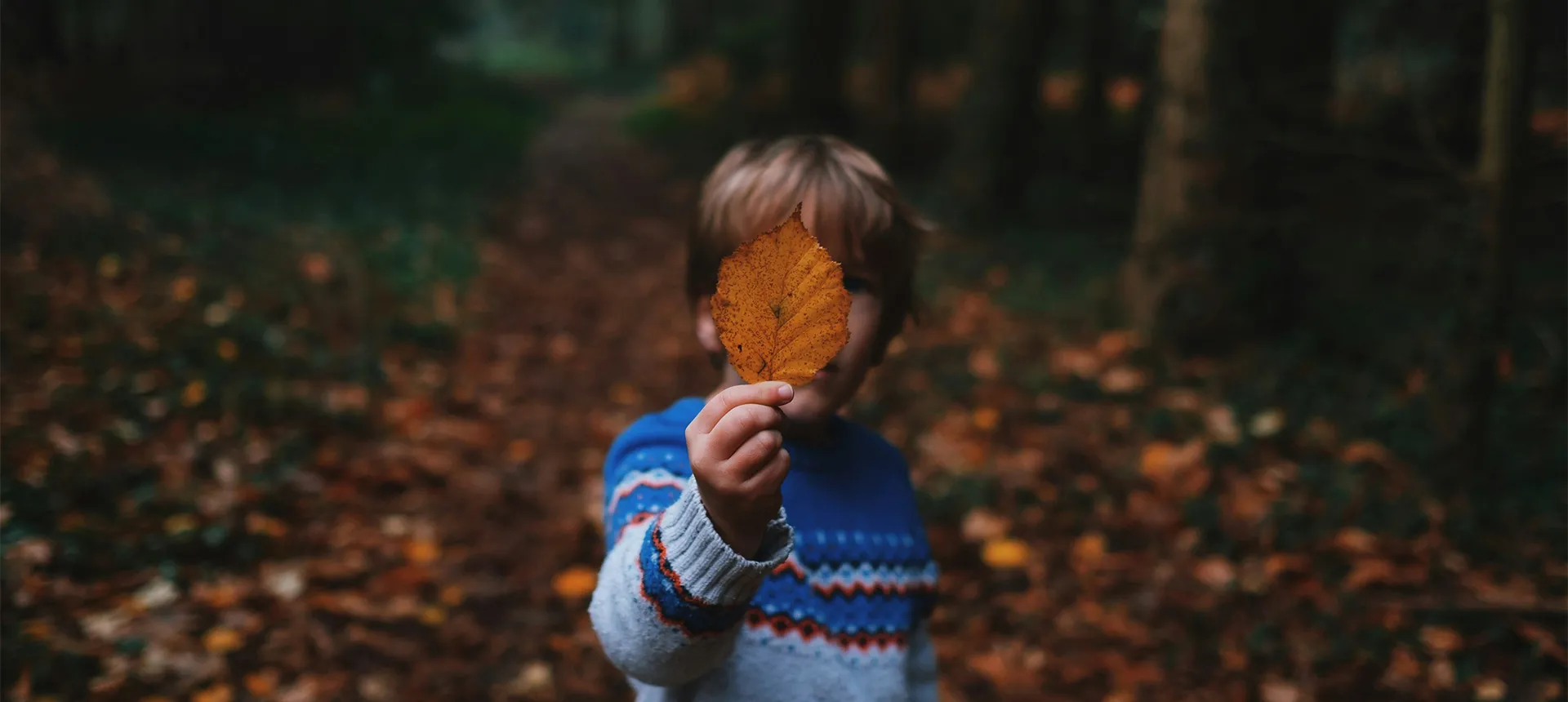October half-term: Fun without screens image